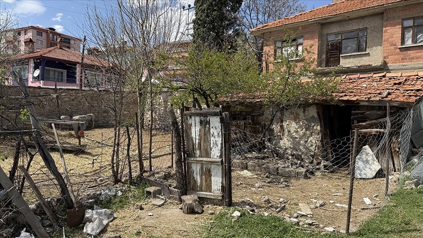 Sahipsiz köpeklerin saldırdığı koyunlar telef oldu