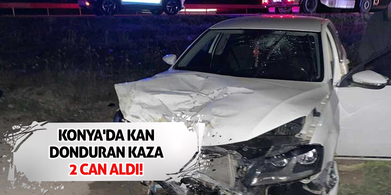 Konya'da kan donduran kaza 2 can aldı!