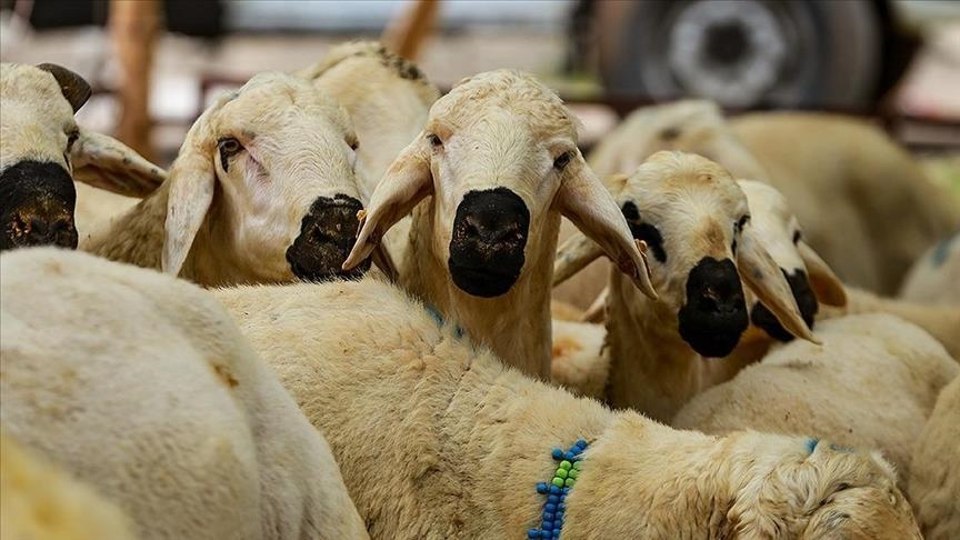 Kurban Hizmetlerinin Uygulanmasına Dair Tebliğ, Resmi Gazete'de yayımlandı
