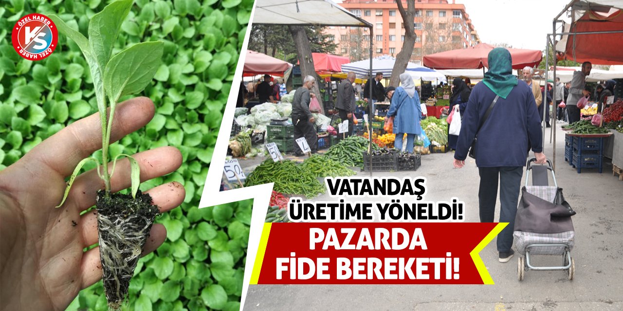 Pazarda Fide Bereketi! Vatandaş Üretime Yöneldi!