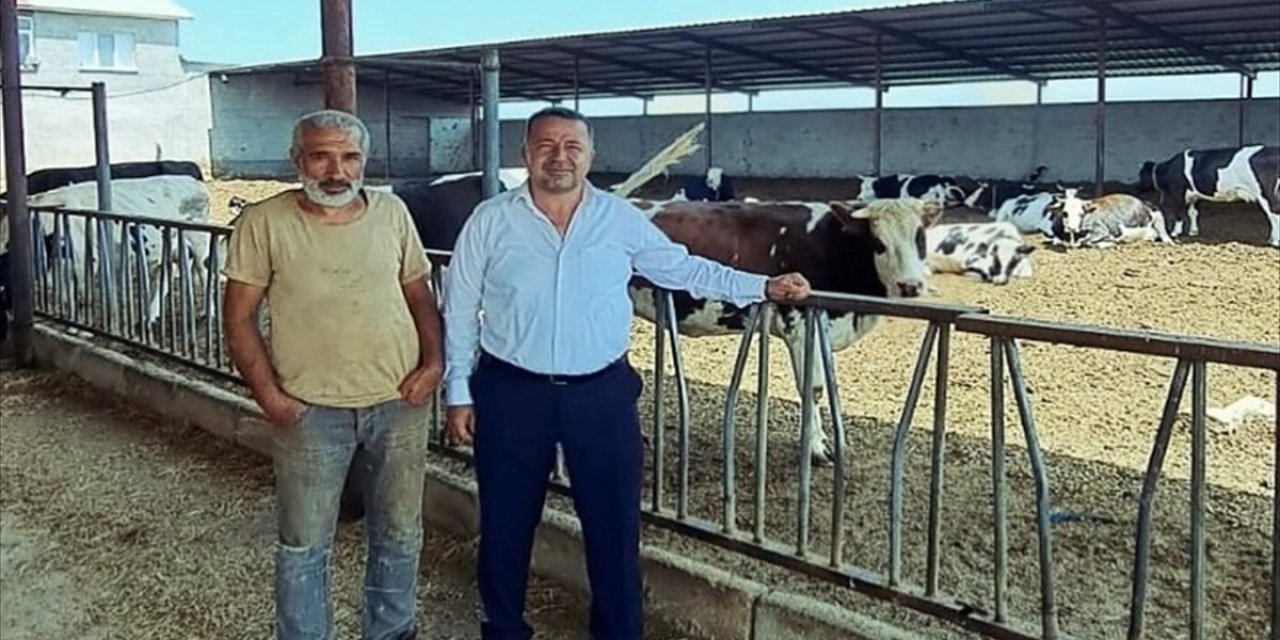 Hayvan gübreleri tarım arazileri ve geri dönüşümde kullanılacak
