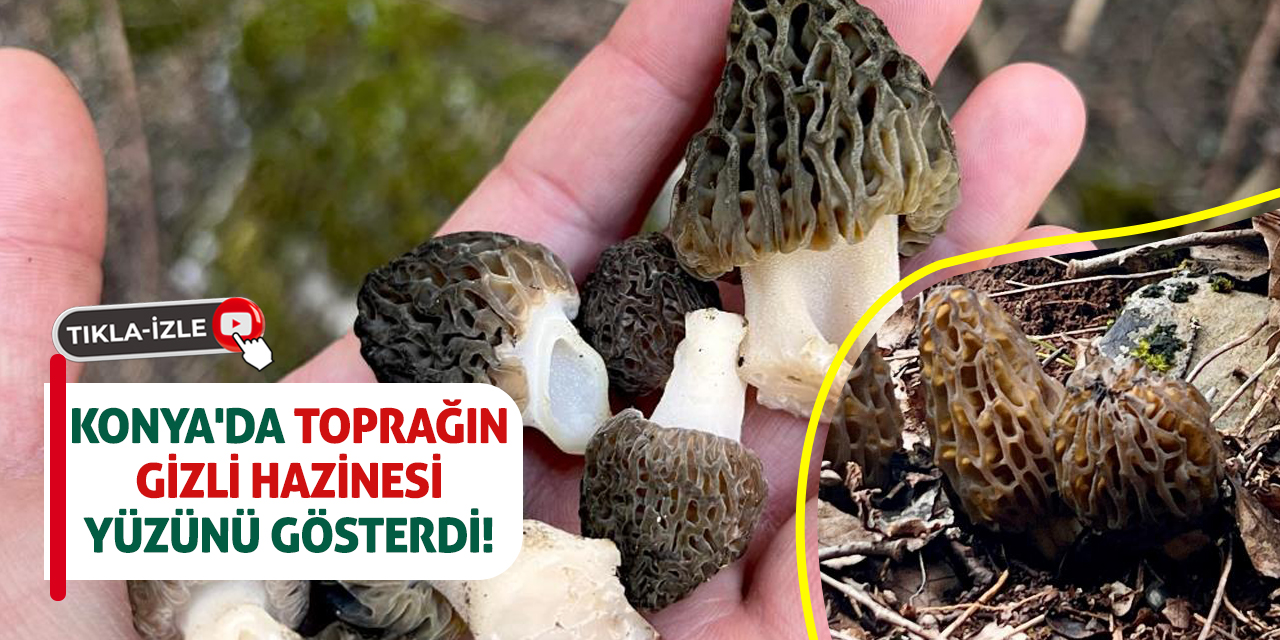 Konya'da Toprağın Gizli Hazinesi Yüzünü Gösterdi!
