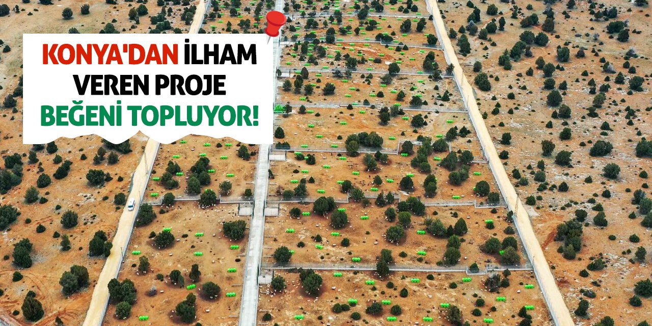 Konya'dan İlham Veren Proje: Sahipsiz Hayvan Doğal Yaşam Alanı Beğeni Topluyor!