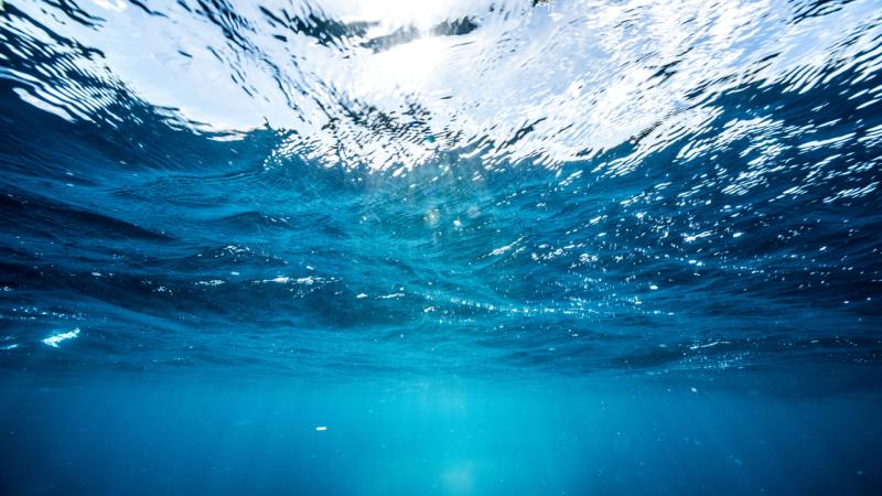 Dünya deniz tabanının sadece binde biri görüntülendi