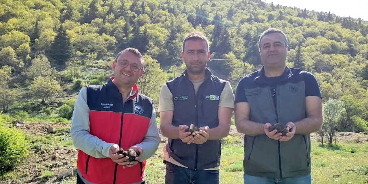 Bozkır'da sahada Kuzu Göbeği incelemesi