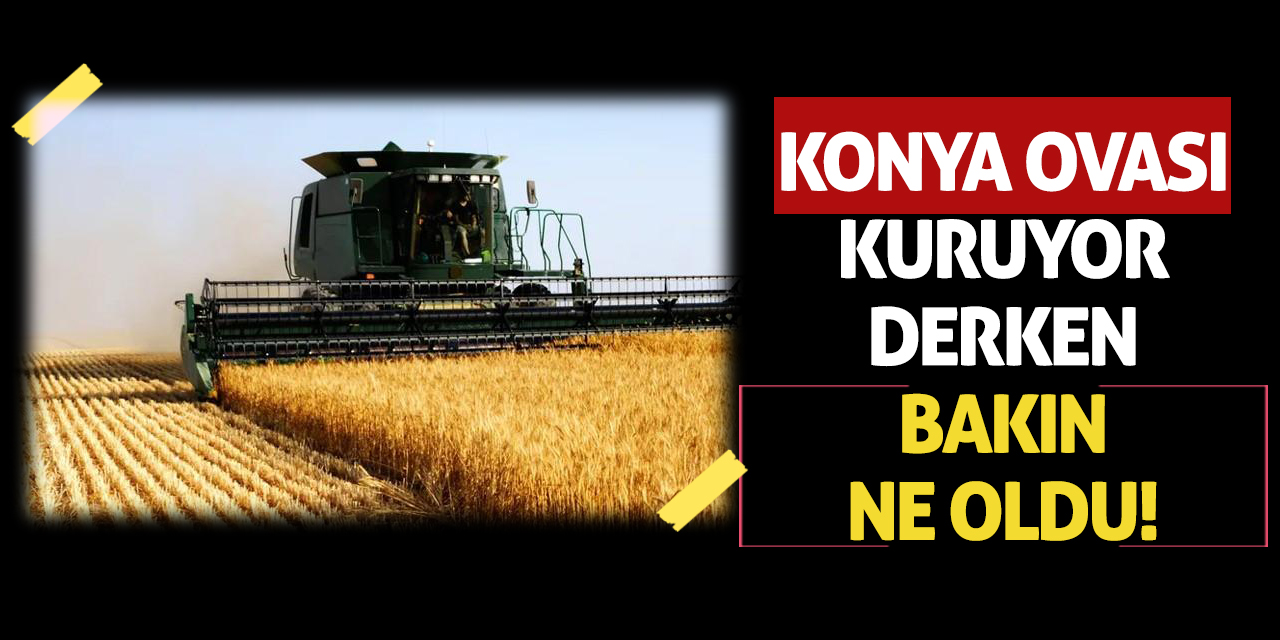 Konya Ovası Kuruyor Derken Bakın Ne Oldu!