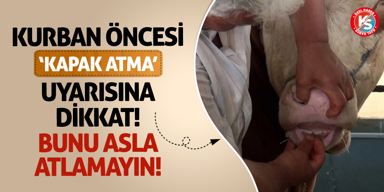 Kurban Öncesi ‘Kapak Atma’ Uyarısına Dikkat! Bunu Asla Atlamayın!