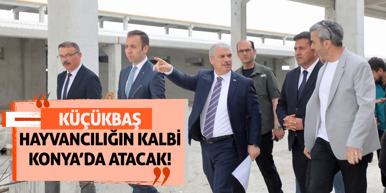 Küçükbaş Hayvancılığın Kalbi Konya’da Atacak!