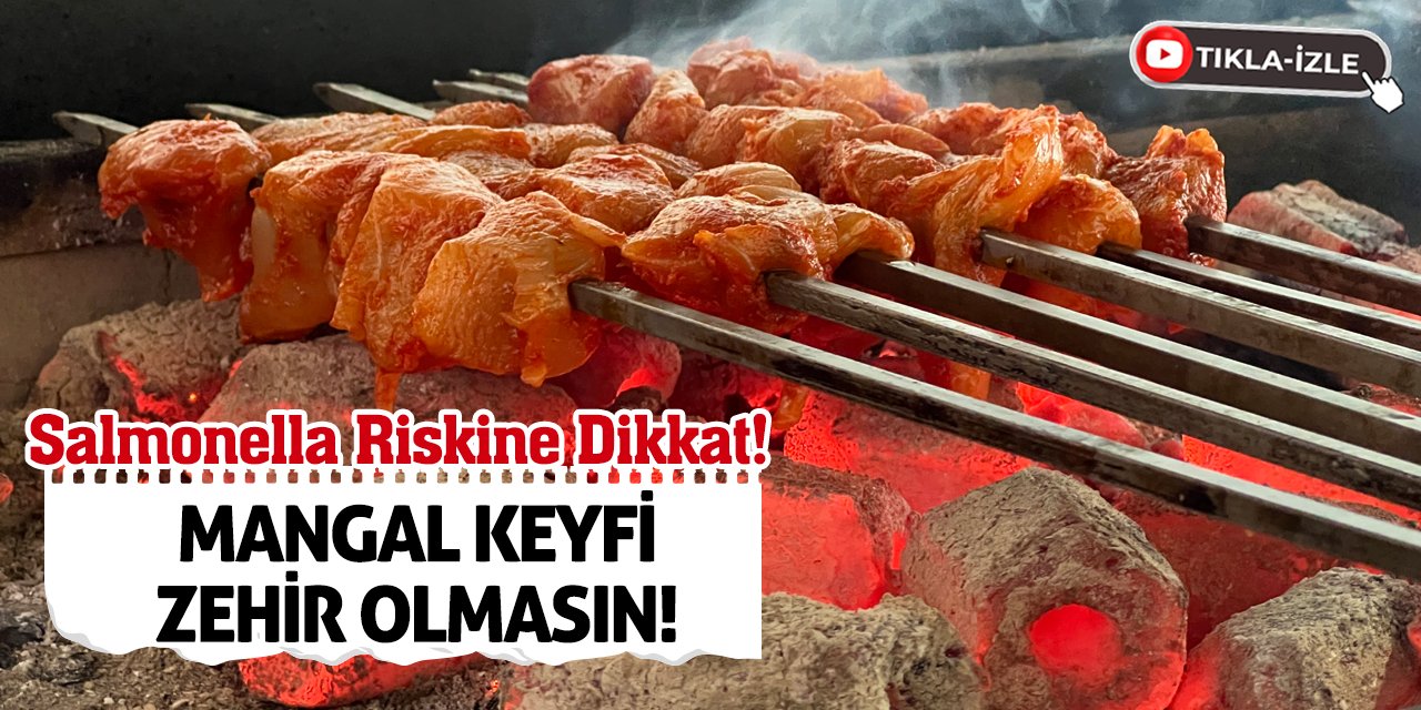 Salmonella Riskine Dikkat! Mangal Keyfi Zehir Olmasın!