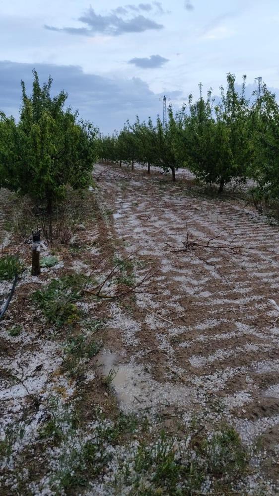 Konya'da yağmur çiftçiye umut oldu