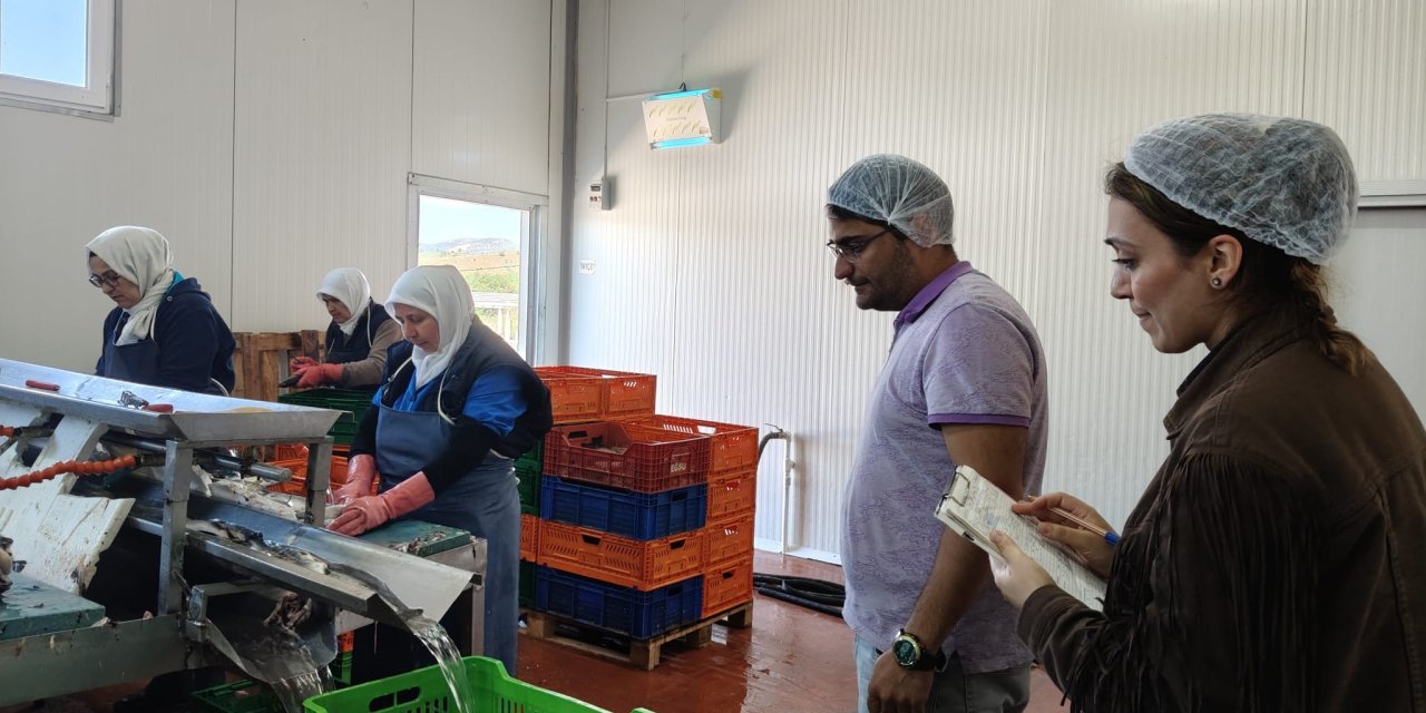 Konya'da göle kıyısı olan fabrikalar denetlendi!
