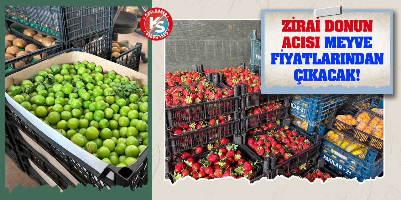 Zirai donun acısı meyve fiyatlarından çıkacak!