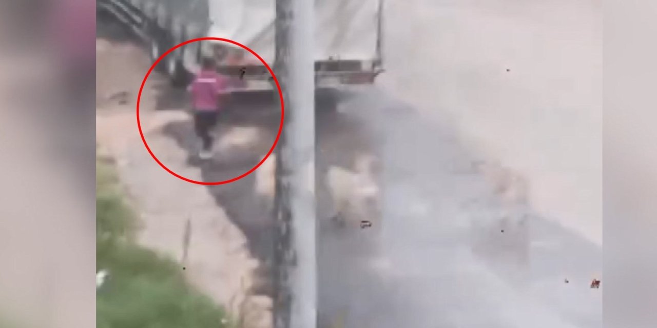 Başıboş köpeklerin çocuğu kovaladığı anlar kamerada