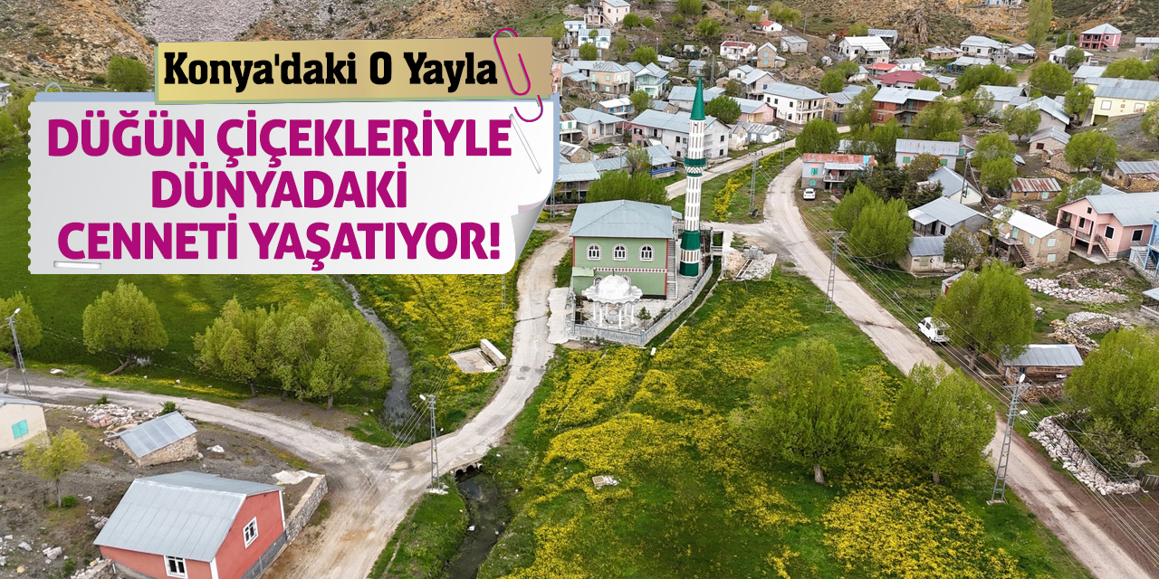 Konya'daki O Yayla Düğün Çiçekleriyle Dünyadaki Cenneti Yaşatıyor!