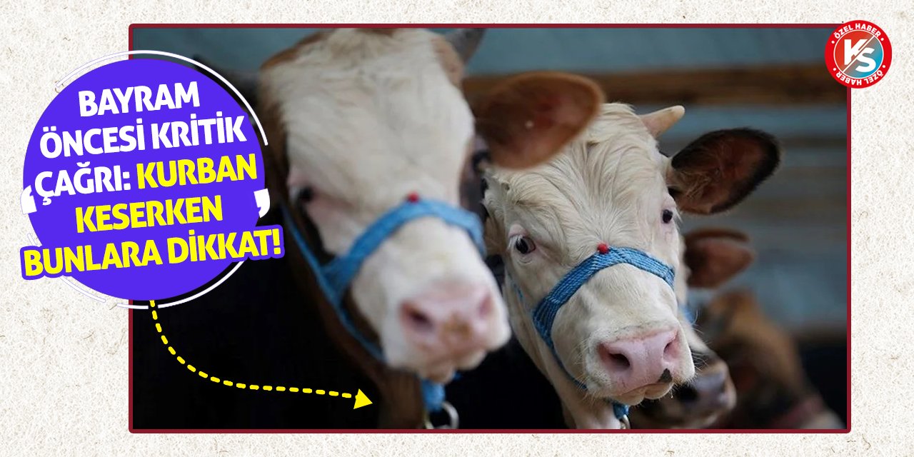 Bayram Öncesi Kritik Çağrı: Kurban Keserken Bunlara Dikkat!