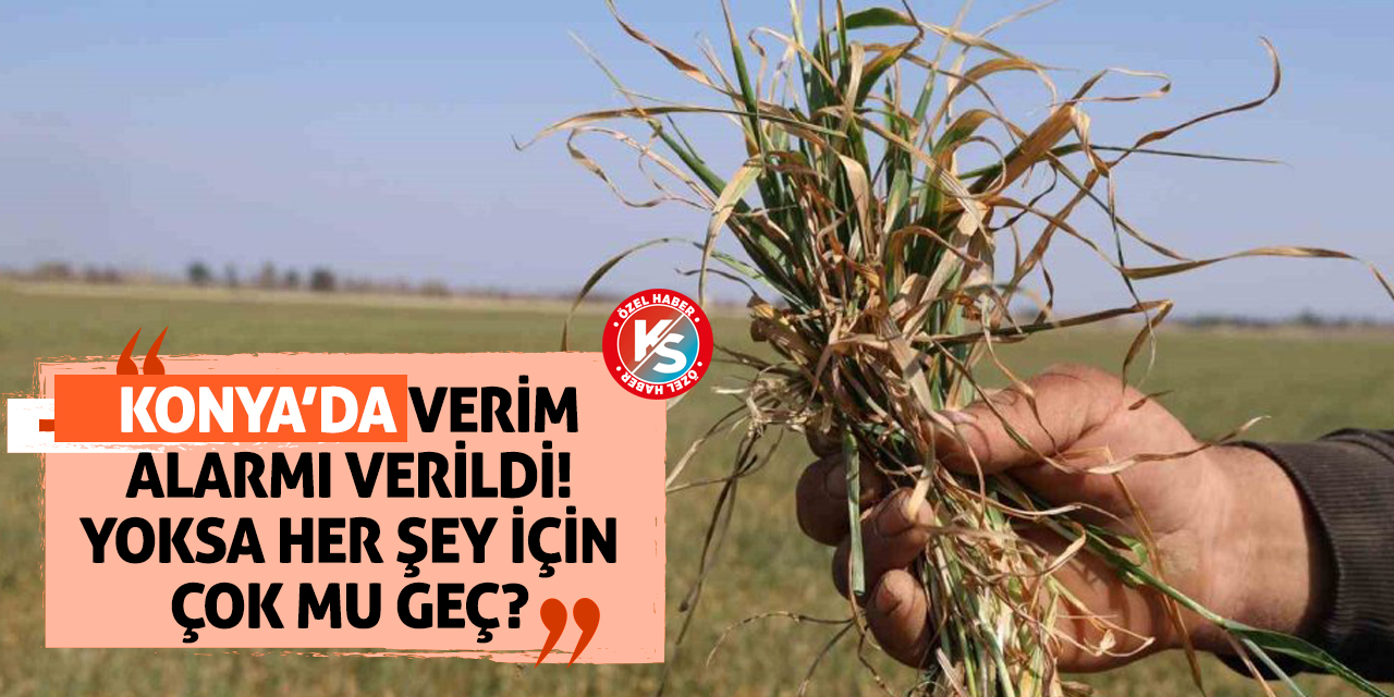 Konya’da Verim Alarmı Verildi! Yoksa Her Şey İçin Çok Mu Geç?