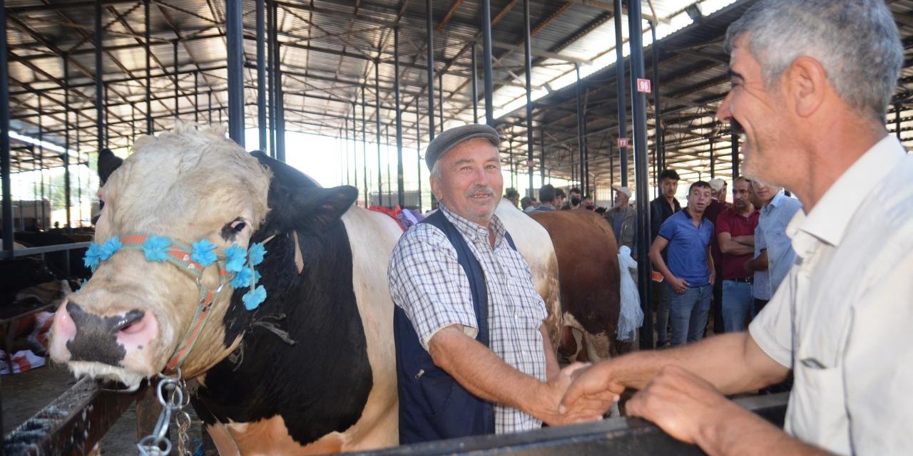 İşte uzmanından kurban seçimi ve kesimiyle ilgili dikkat edilecek hususlar