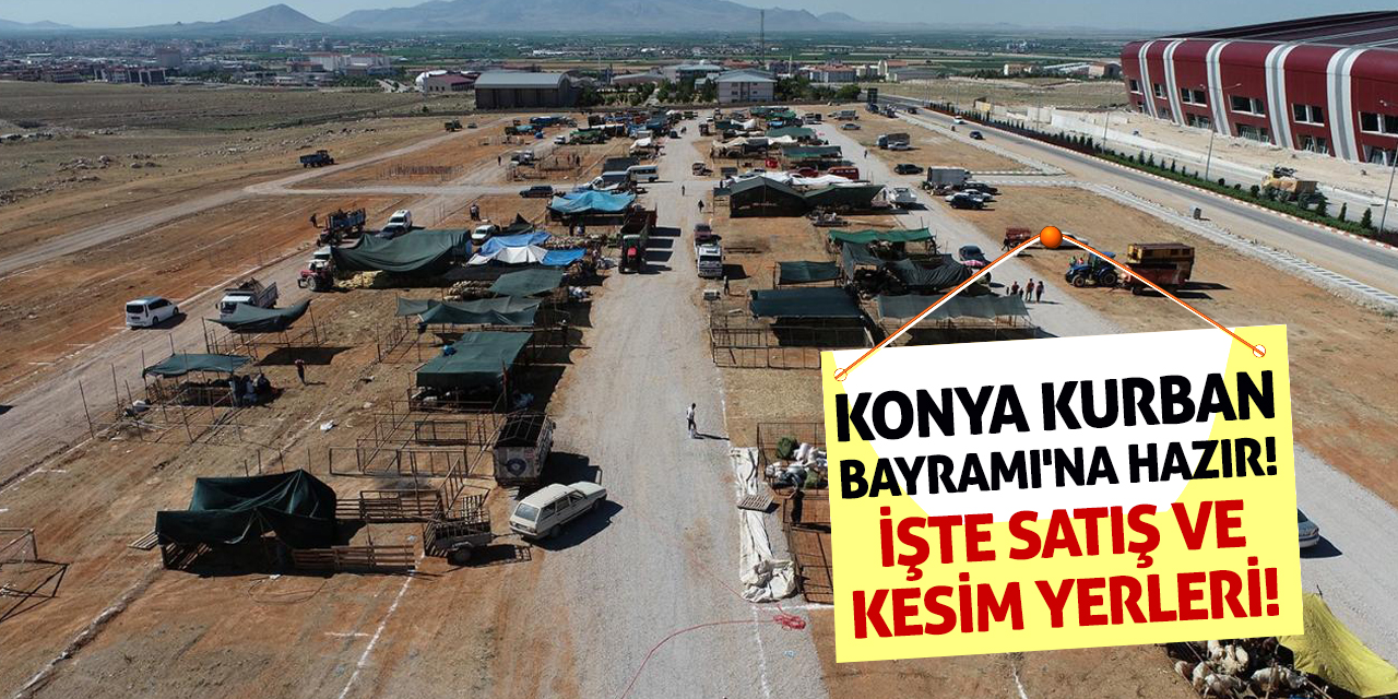 Konya Kurban Bayramı'na Hazır! İşte Satış ve Kesim Yerleri!
