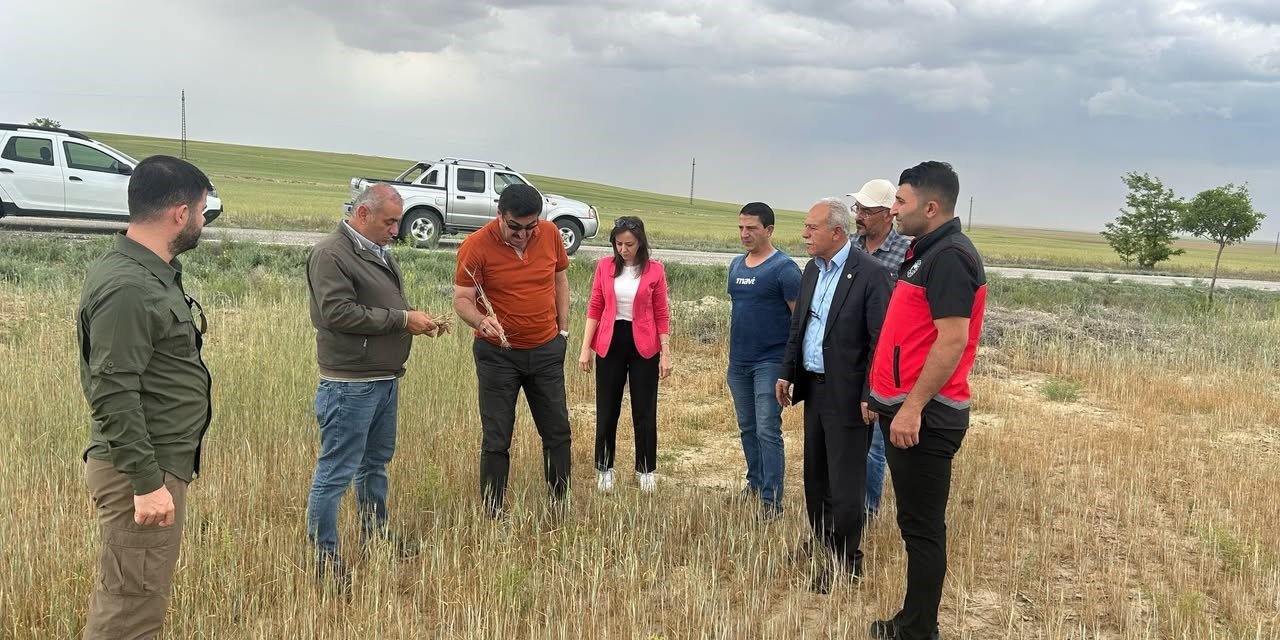 Konya'da kıraç arazilerde hasat yapılamayacak