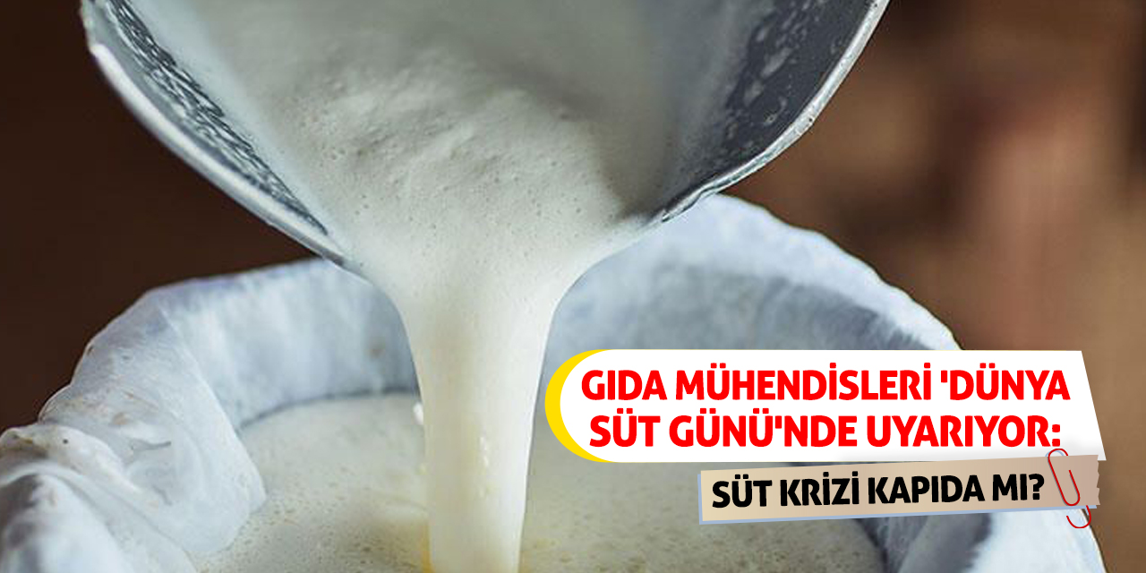 Gıda Mühendisleri 'Dünya Süt Günü'nde Uyarıyor: Süt Krizi Kapıda mı?