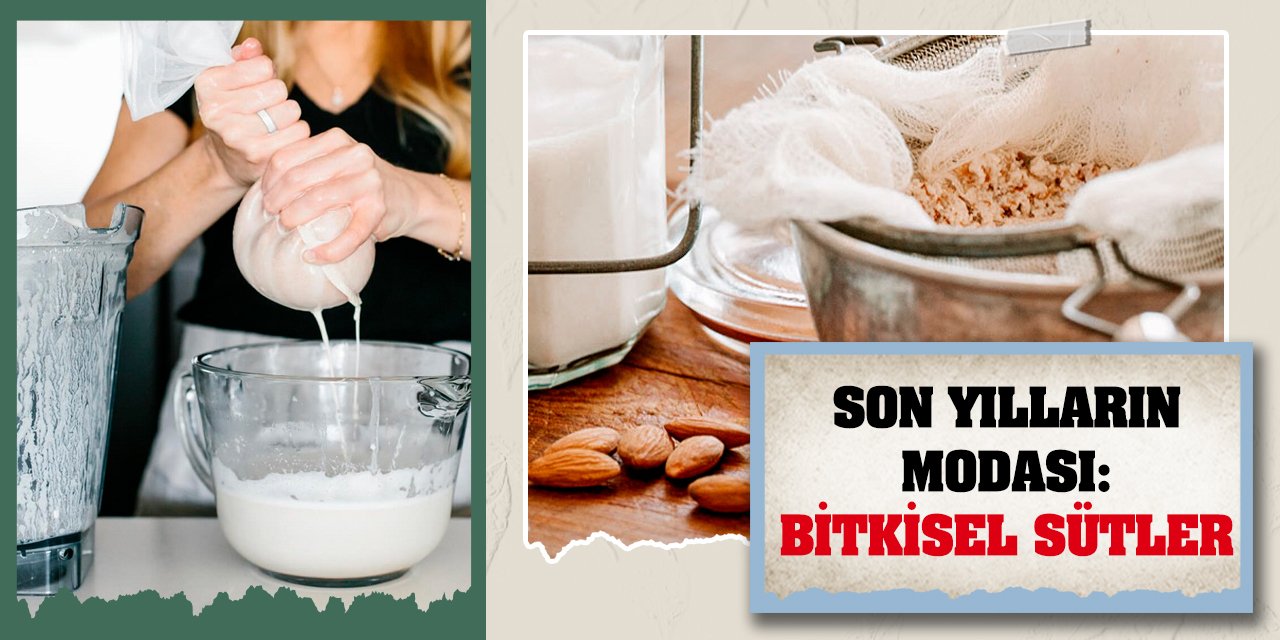 Son Yılların Modası: Bitkisel Sütler