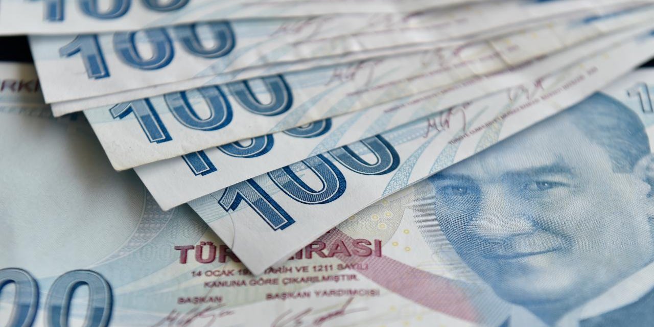 Engelli ve eski hükümlü hibe desteği başvuruları başladı