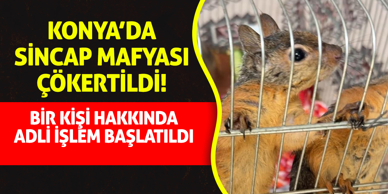 Konya’da Sincap Mafyası Çökertildi! Bir kişi hakkında adli işlem başlatıldı