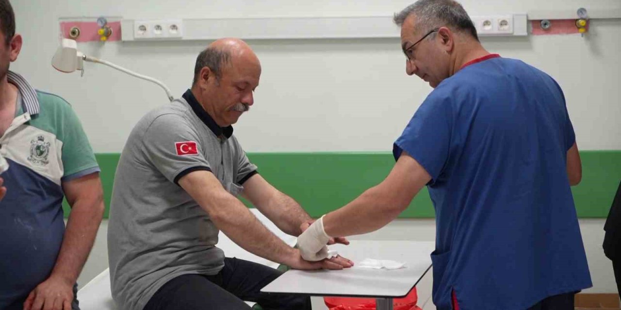 Bir bayram klasiği: Acemi kasaplar acillerin yolunu tuttu