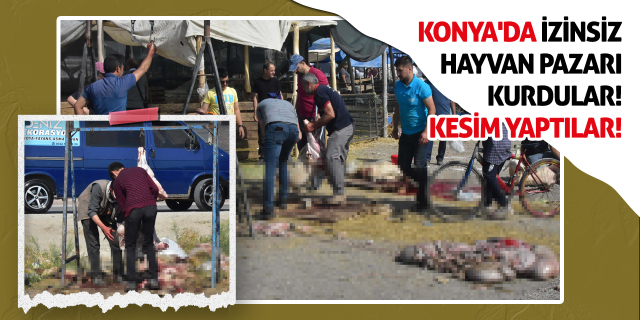 Konya'da İzinsiz Hayvan Pazarı Kurdular! Kesim Yaptılar!