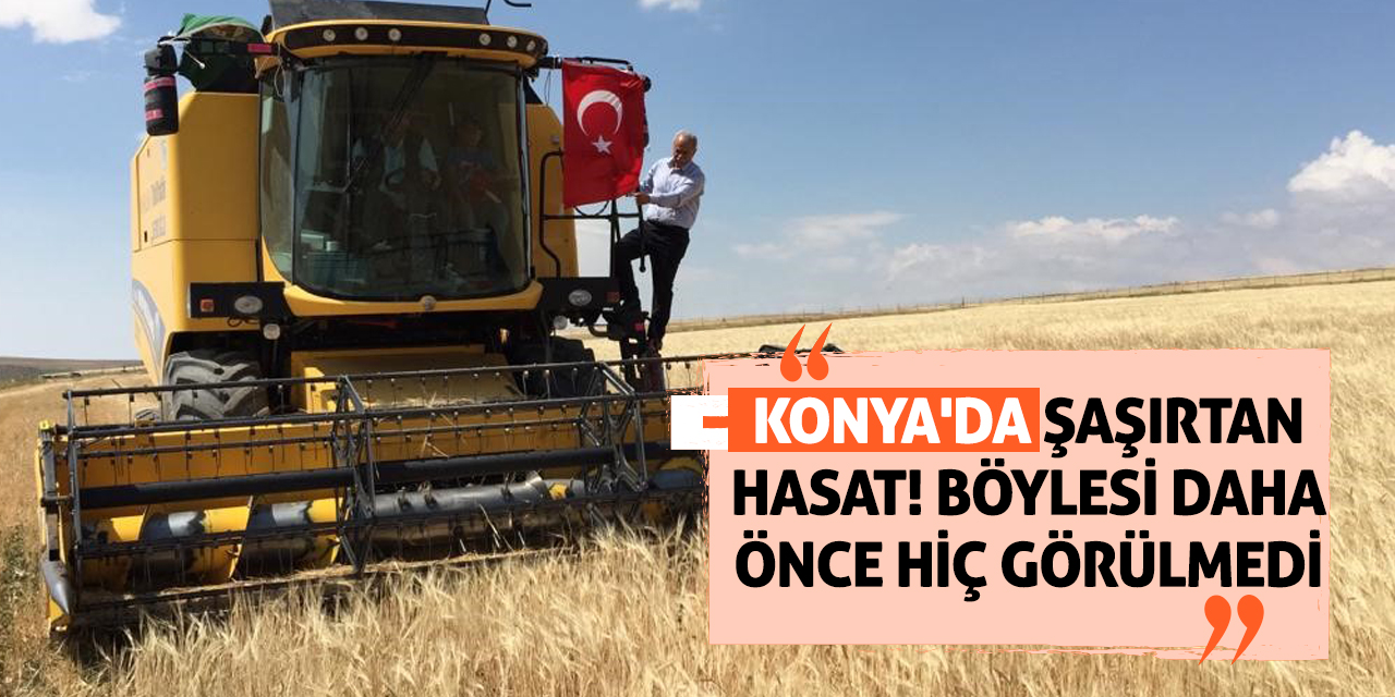 Konya'da şaşırtan hasat! Böylesi daha önce hiç görülmedi