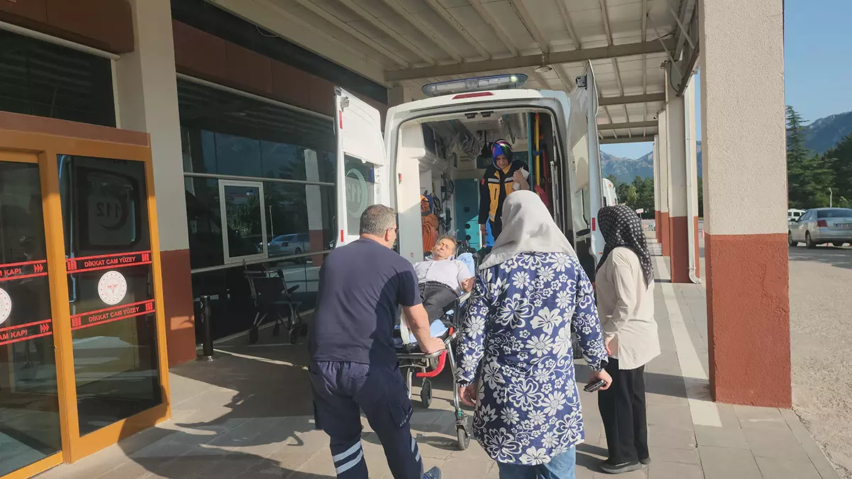 Konya'da pikniğe giden kişiyi yılan ısırdı!