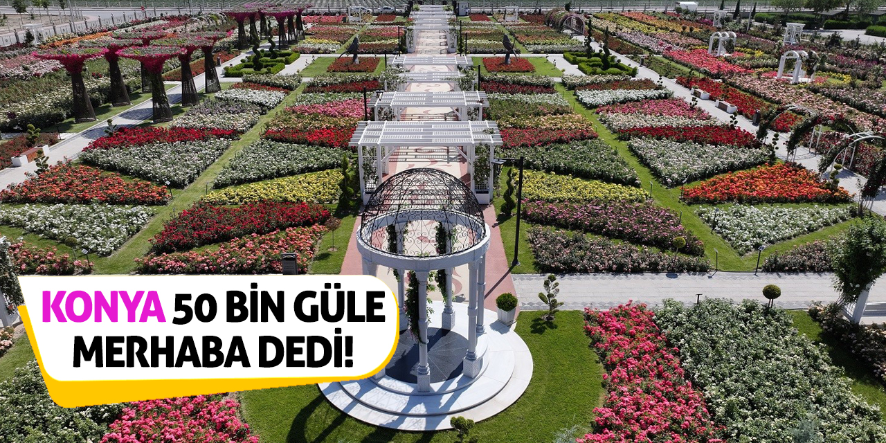 Konya 50 Bin Güle Merhaba Dedi!