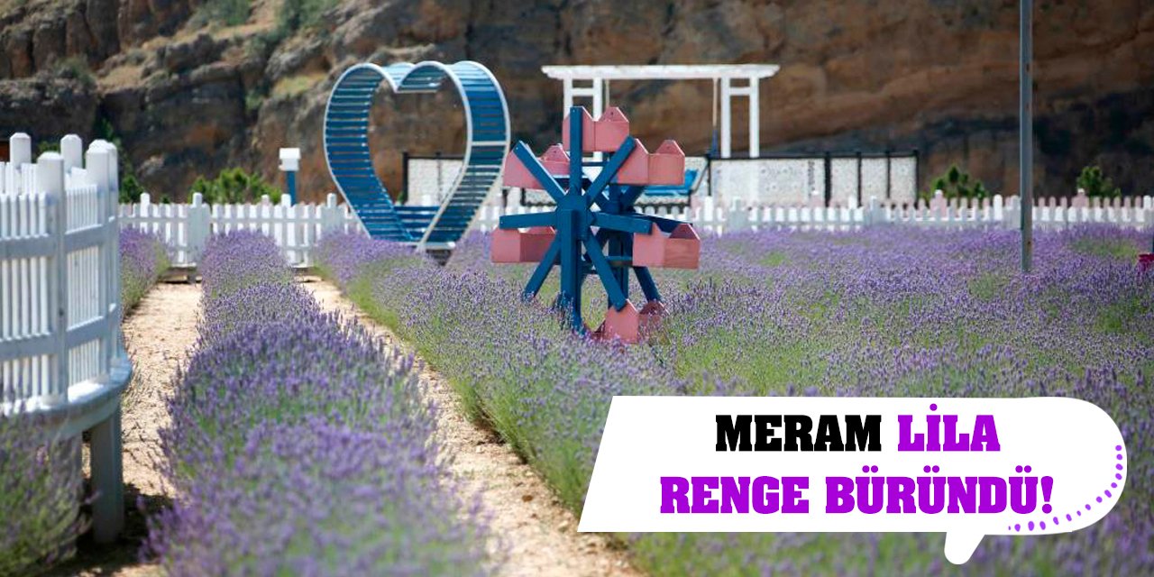 Meram lila renge büründü!