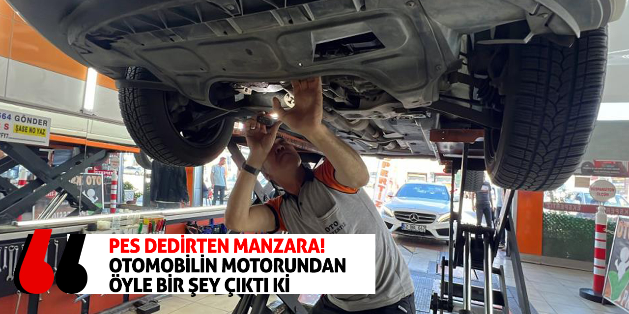 Pes Dedirten Manzara! Otomobilin Motorundan Öyle Bir Şey Çıktı Ki