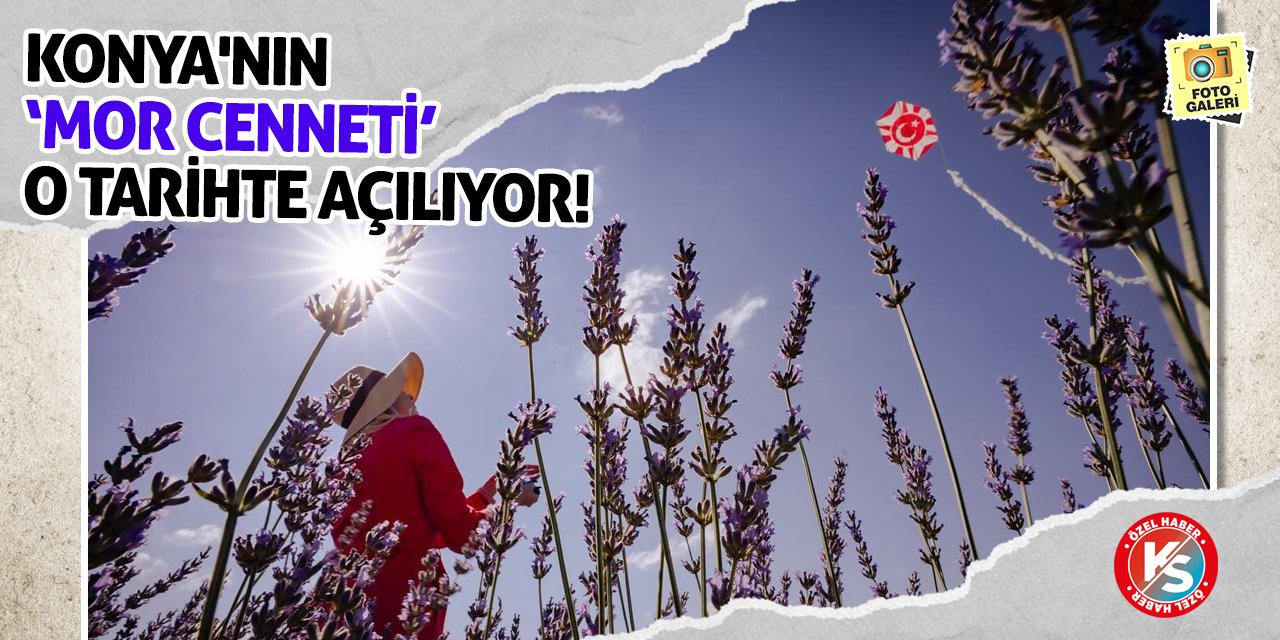 Konya'nın 'Mor Cenneti' O Tarihte Açılıyor!