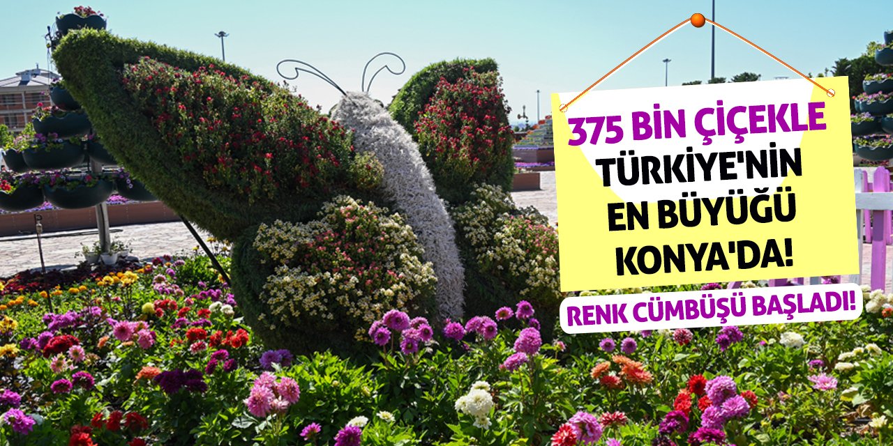 375 Bin Çiçekle Türkiye'nin En Büyüğü Konya'da! Renk Cümbüşü Başladı!