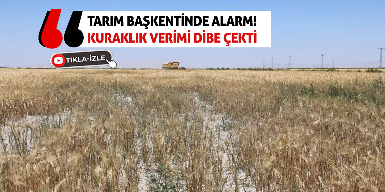 Tarım Başkentinde Alarm! Kuraklık Verimi Dibe Çekti