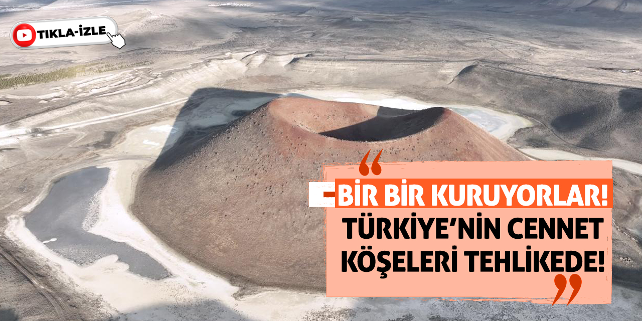 Bir bir kuruyorlar! Türkiye’nin Cennet Köşeleri Tehlikede!
