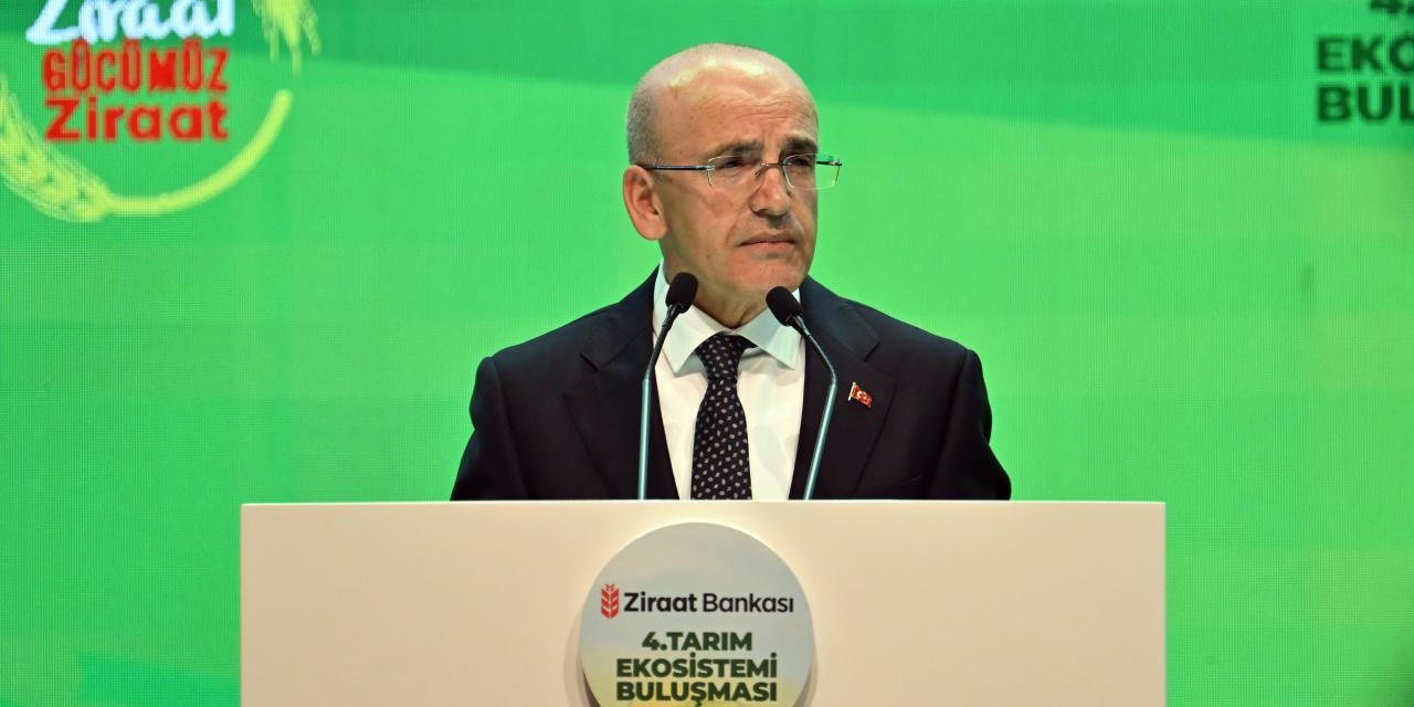 Bakan Şimşek: Evlerde kullanılan elektriğin yüzde 55'ini, doğal gazın yüzde 65'ini devlet sübvanse ediyor