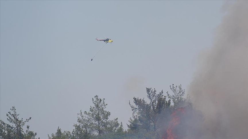 Ormanlık alanlarda çıkan yangınlara havadan ve karadan müdahale ediliyor