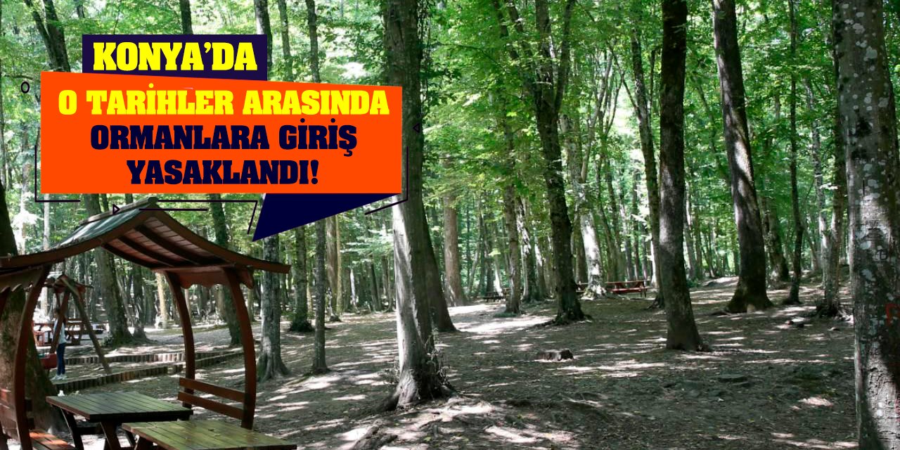 Konya'da o tarihler arasında ormanlara giriş yasaklandı!