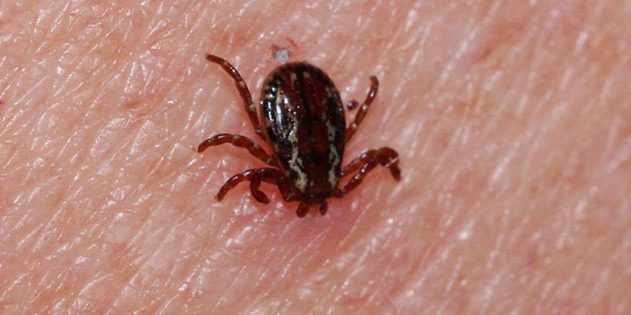Bolu'da KKKA hastalığı tedavisi gören kişi hayatını kaybetti