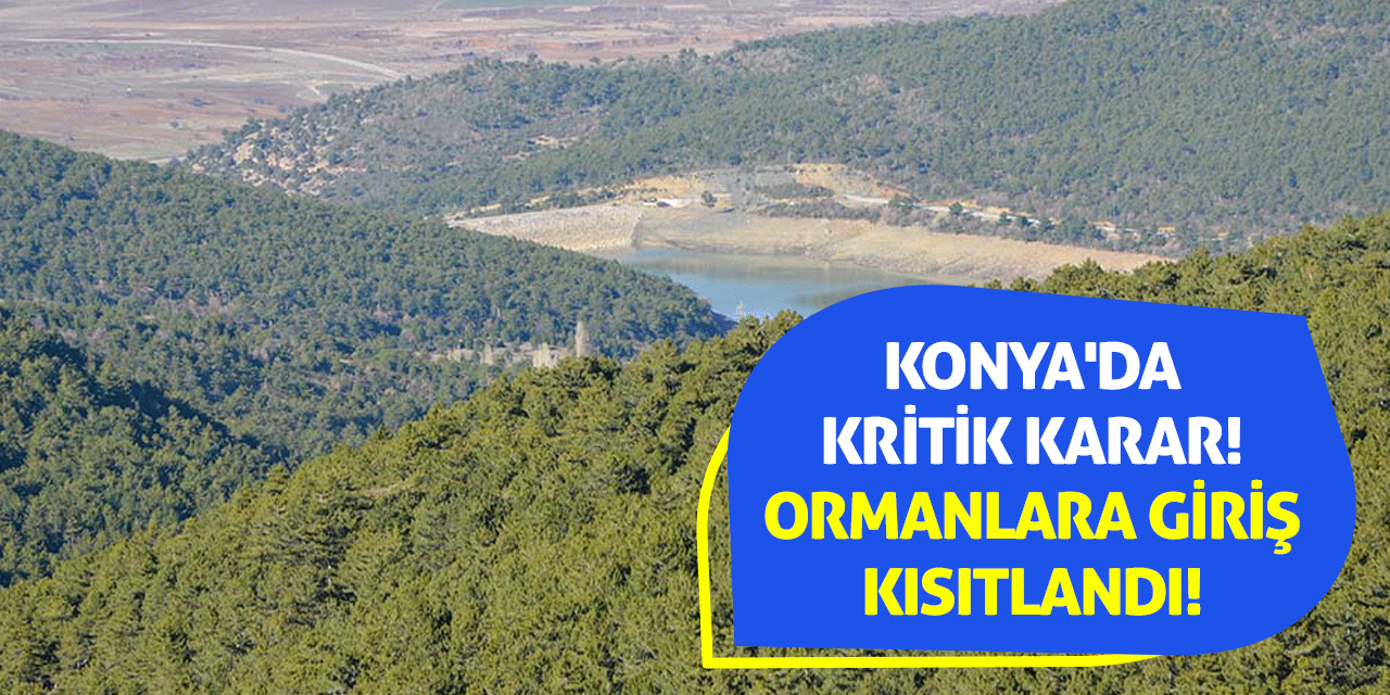 Konya'da Kritik Karar! Ormanlara Giriş Kısıtlandı!