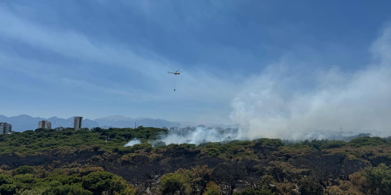 Antalya ve Çanakkale'deki yangınlar kontrol altına alındı