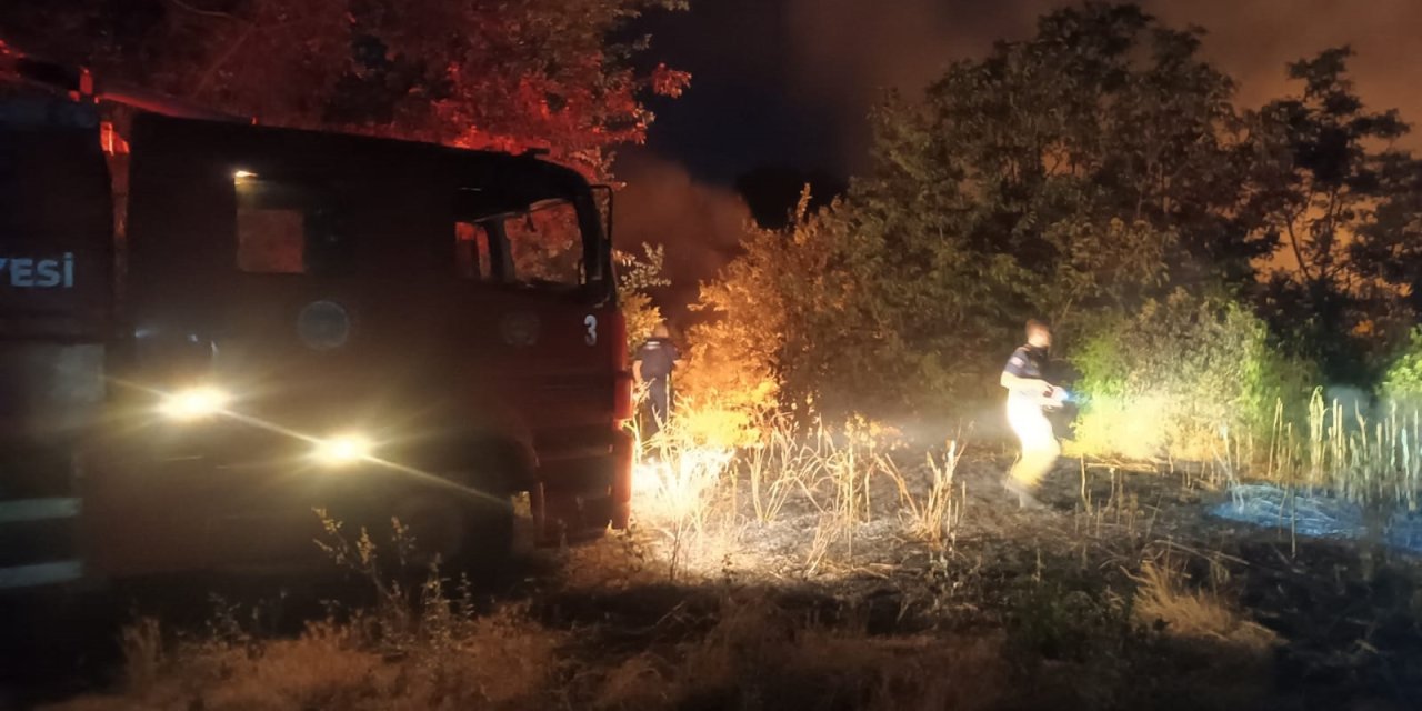 Bursa’da otluk alanda çıkan yangın ormana sıçradı: 20 dönüm zarar gördü