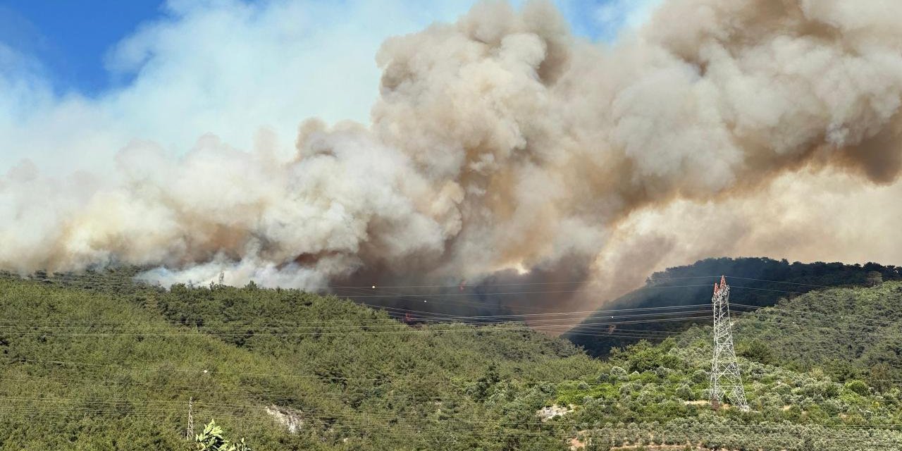 Hatay'daki orman yangınıyla ilgili bir şüpheli tutuklandı