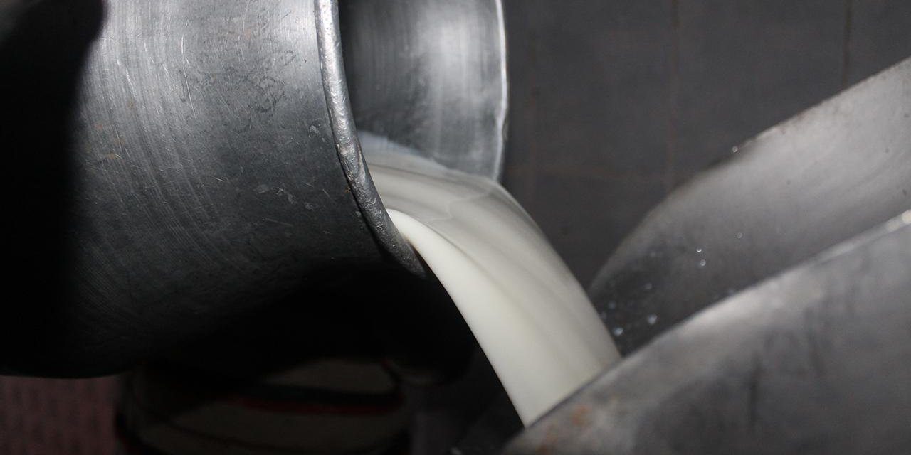 Haksız fiyatlandırma yapan süt şirketlerine 58,3 milyon lira ceza