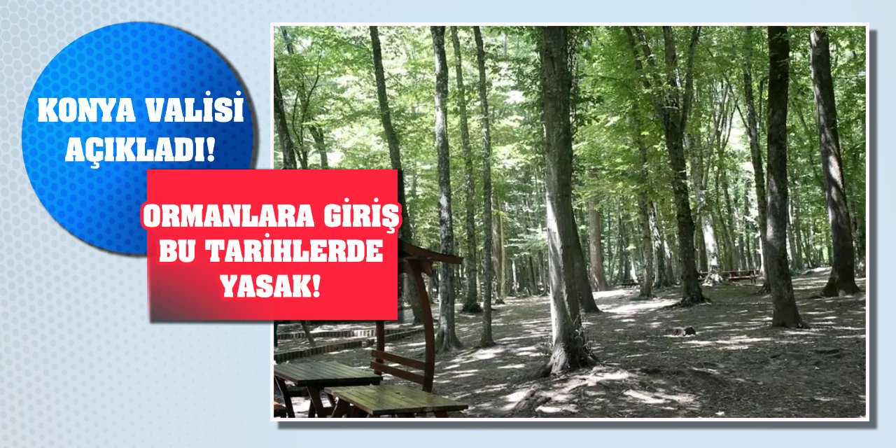 Konya Valisi Açıkladı! Ormanlara Giriş Bu Tarihlerde Yasak!