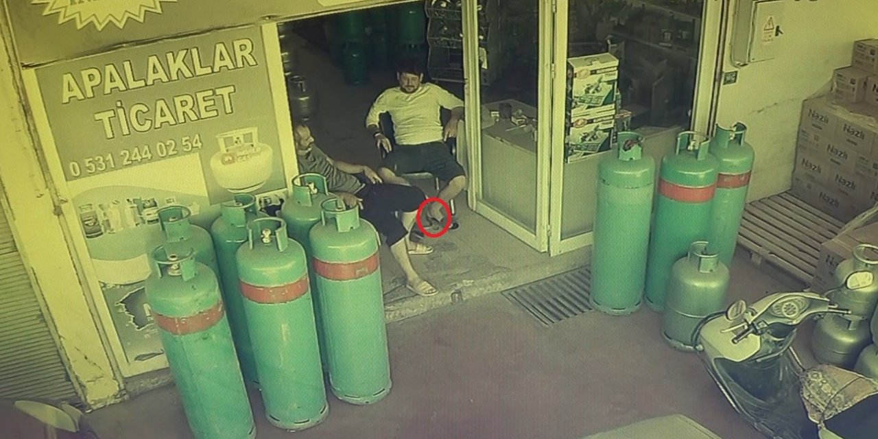 Dükkana giren yılan, esnafı sokağa fırlattı