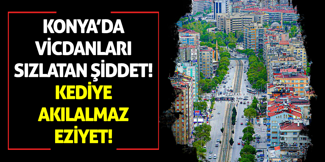 Konya’da Vicdanları Sızlatan Şiddet: Kediye Akılalmaz Eziyet!